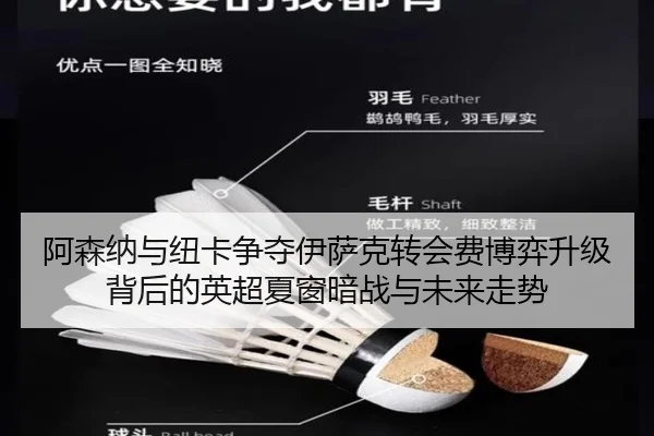 阿森纳与纽卡争夺伊萨克转会费博弈升级背后的英超夏窗暗战与未来走势